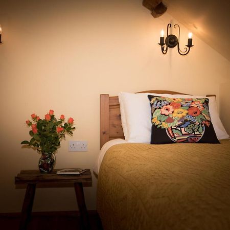 Cae'R Beili Villa Llandovery Luaran gambar