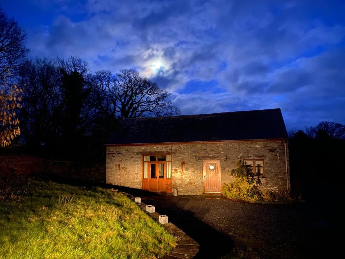Cae'R Beili Villa Llandovery Luaran gambar