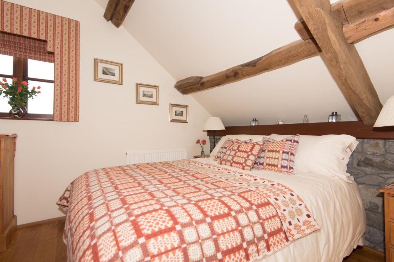 Cae'R Beili Villa Llandovery Luaran gambar