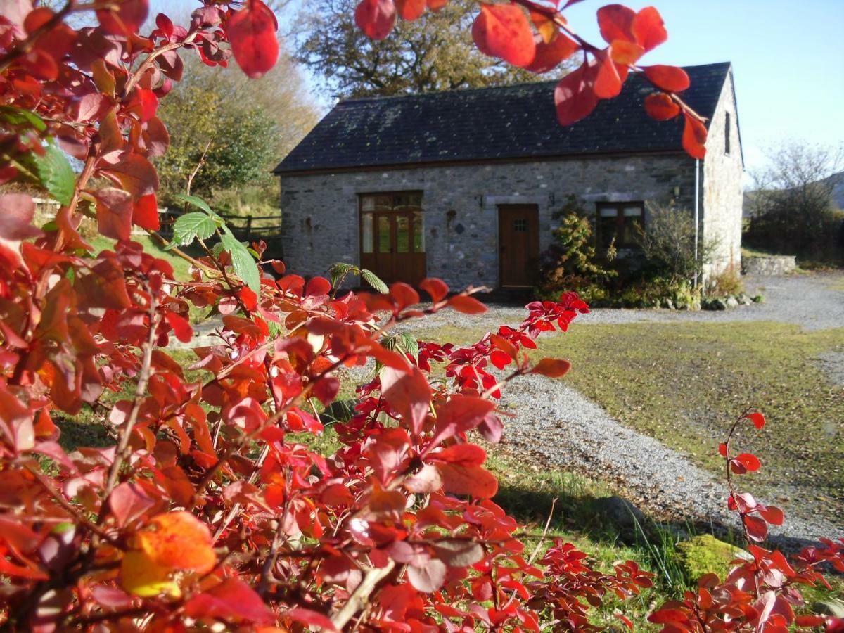 Cae'R Beili Villa Llandovery Luaran gambar