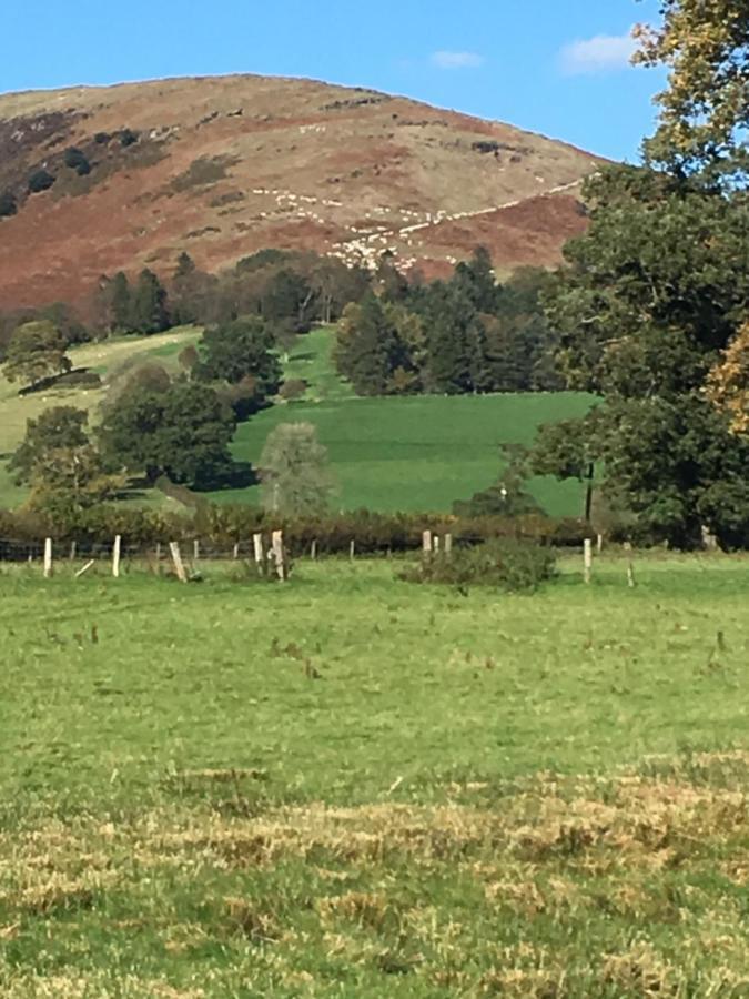 Cae'R Beili Villa Llandovery Luaran gambar